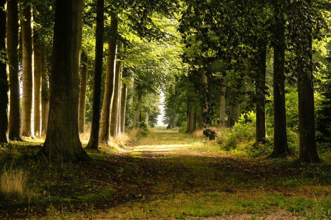 Brestot Les Ecuries Du Chateau De Brumare Bed & Breakfast エクステリア 写真